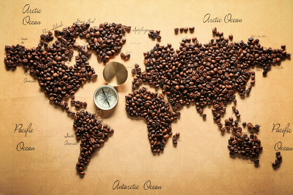 Understanding Coffee Beans and Their Origins